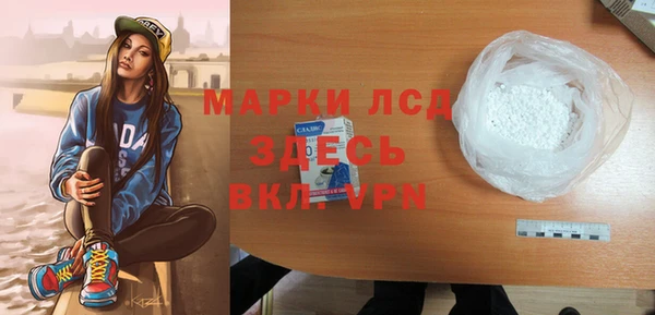 ГАЛЛЮЦИНОГЕННЫЕ ГРИБЫ Гусев