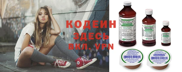 ГАЛЛЮЦИНОГЕННЫЕ ГРИБЫ Гусев