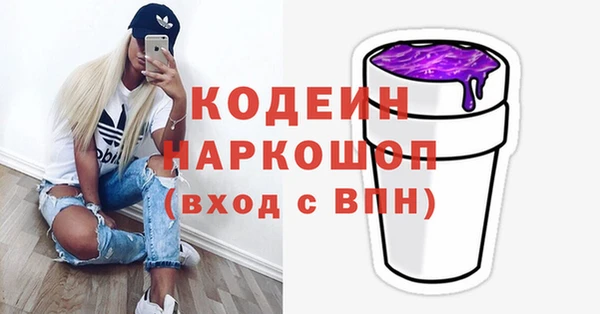 ГАЛЛЮЦИНОГЕННЫЕ ГРИБЫ Гусев