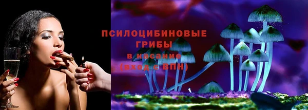 прущая мука Гусиноозёрск