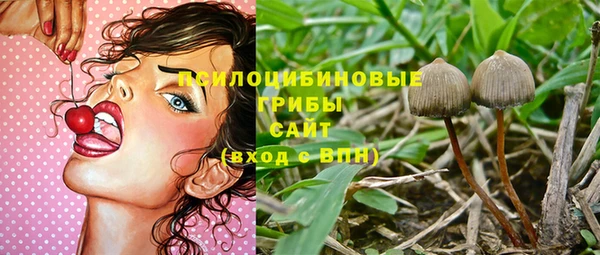 ECSTASY Гусь-Хрустальный