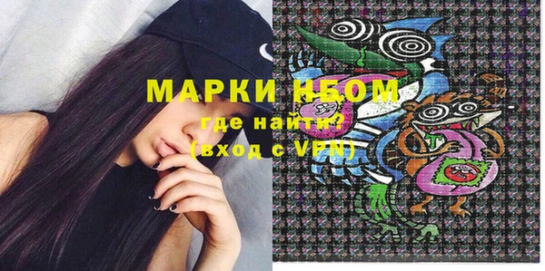 ГАЛЛЮЦИНОГЕННЫЕ ГРИБЫ Гусев