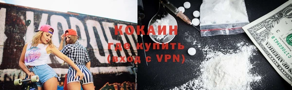ГАЛЛЮЦИНОГЕННЫЕ ГРИБЫ Гусев