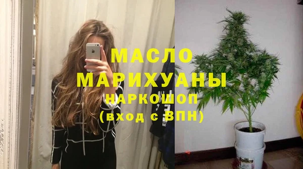 ECSTASY Гусь-Хрустальный